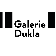 galerie dukla