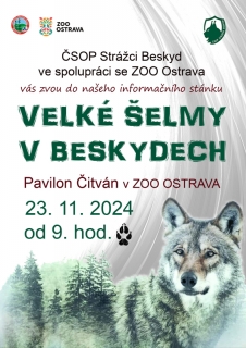 Velké šelmy v Beskydech