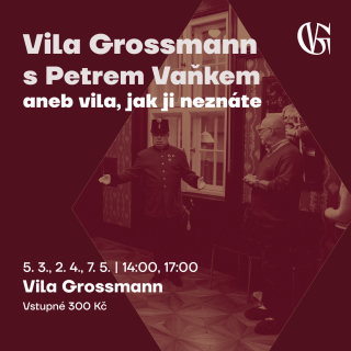 Vila Grossmann