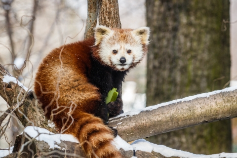 Zoo Ostrava