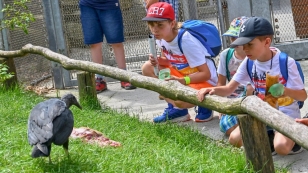 Největší průchozí voliéra v Zoo Ostrava