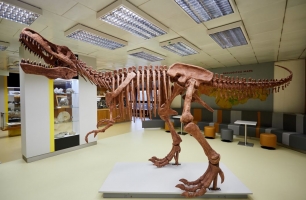 Geologický pavilon VŠB-TUO nově hlídá tyranosaurus