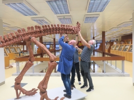 Geologický pavilon VŠB-TUO nově hlídá tyranosaurus