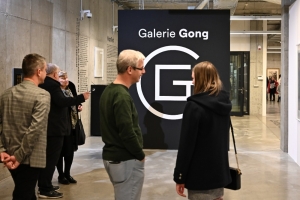 Galerie Gong. Nový prostor pro umění