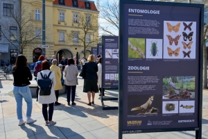 Muzeum jde do ulic Ostravy i Moravskoslezského kraje